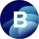 BlueOceanAI logo