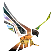Peregrine Turbine Technologies logo