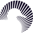 SolarDuck logo