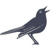 Nattergal logo