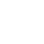 TopoLogic logo