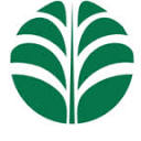 Grainpulse logo