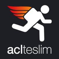 ACLTeslim logo