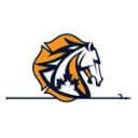 FireRein logo