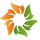 Solara Active Pharma logo