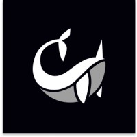 Narval logo