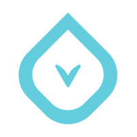 VeriSolutions logo
