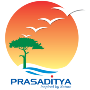 Paras logo
