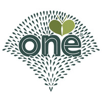 The Spirit of One logo