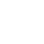 Braight logo