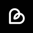 Brandi logo