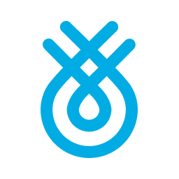 Flinks logo