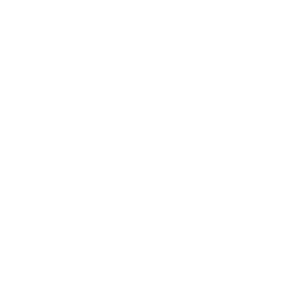 Raven Space Systems logo