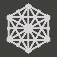 Hexagon Wireless logo