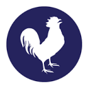 RoosterBio logo