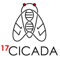 17Cicada logo