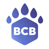 BC Biocarbon logo