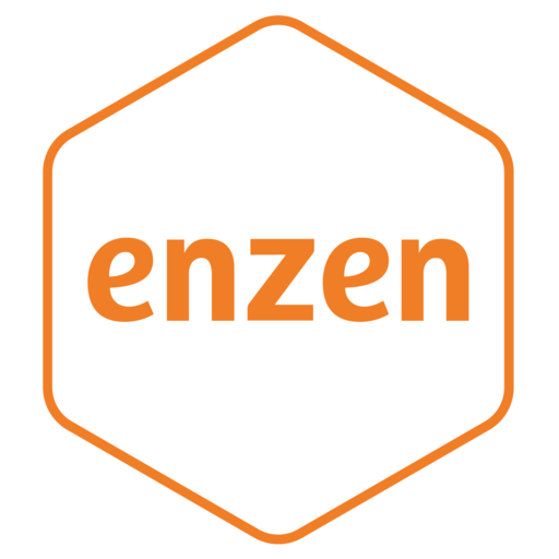 Enzen Global Solutions logo