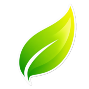Lightricity logo