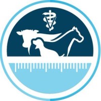 VetMeasure logo