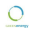 Sakowin Green energy logo