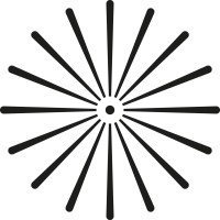 Singular Photonics logo