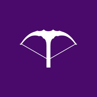 Vincross logo