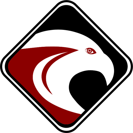 Cyber Struggle logo