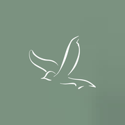 BN Care logo