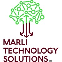 Marli Technology Solutions logo