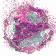 Dialectic Therapeutics logo