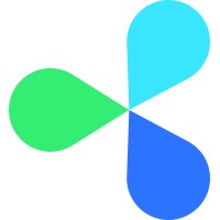 deepsilicon logo