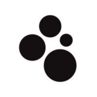Spot AI logo