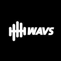 WAVS Custom logo