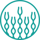 Olgram logo