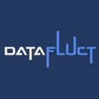 DATAFLUCT logo