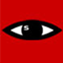 Stealth Security logo