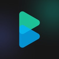 Blindspot Technologies logo