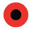 RayIoT Solutions Inc. logo