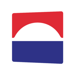 Dome Systems logo