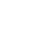 ActionStreamer logo