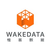 WakeData logo