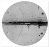 Positron Dynamics logo