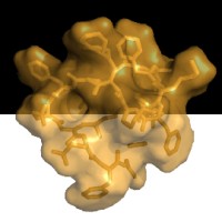 Trilo Therapeutics logo