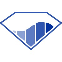 Liquid Diamonds logo