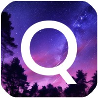 Quickture logo