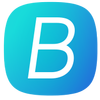 Bridg logo