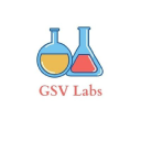 GSVlabs logo