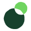 NanoInGreen logo