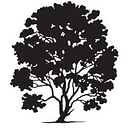 HLS Therapeutics logo